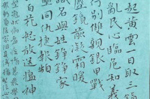 中国抗疫，团结一心，共克时艰