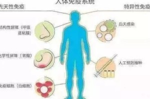 新冠病毒全称为严重急性呼吸综合征冠状病毒2型