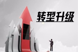 疫情下的巴西牛肉产业，挑战、机遇与转型之路