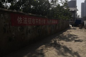 2021年疫情解封标准，科学评估与全球视野下的政策调整