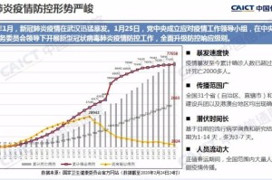 乍得疫情挑战与应对策略