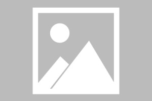 百度百科疫情（百度百科疫情最新消息）
