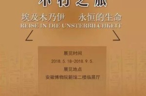 疫情下的埃及，生命与希望的沉重篇章