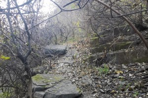 宣布疫情解除时间（疫情解除时间各地一览表）
