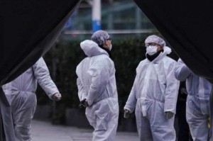 新冠疫情到底是什么原因引起的（新冠疫情因何而起）