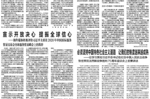 智利疫情挑战、应对与未来展望