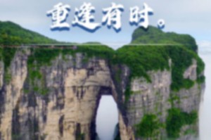 石家庄云开疫散倒计时，重启生活，共绘未来新篇章