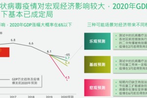 疫情起始之年，回望与反思