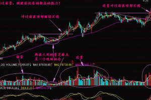 疫情下的牛股盘点