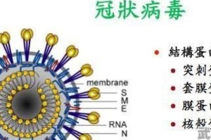 疫情病毒名称是新型冠状病毒