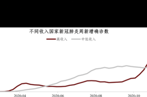 全球疫情爆发时间线，从2019年12月到2023年的结束
