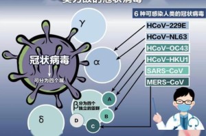 新冠疫情始于哪一年？