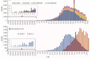 新冠疫情始于2019年