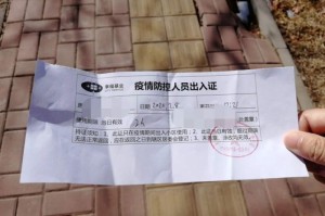 因疫情失去收入来源证明模板
