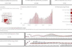 2024年12月疫情，全球抗疫进入新阶段