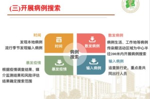 南美洲疫情挑战与应对策略排名