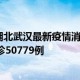 百度武汉疫情最新情况（百度一下武汉疫情）