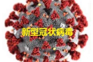 武汉疫情病毒名为新型冠状病毒