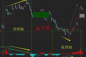 疫情期间大涨的股票大盘点
