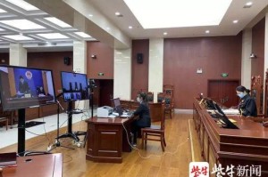 上海疫情判刑第一人，违反防疫规定，获刑一年