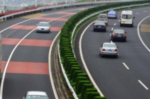 疫情高速公路免费（疫情 高速 免费）