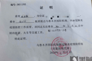 疫情影响下的无收入证明，挑战与应对