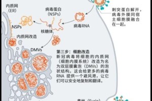 新冠疫情由哪种病毒引起？