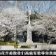 疫情英语演讲（疫情英语演讲刘）