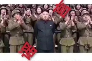朝鲜疫情现状，挑战与应对策略