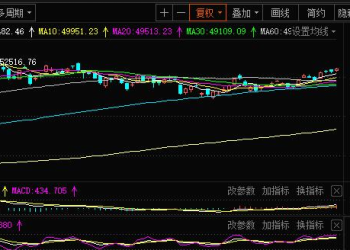 印度尼西亚疫情挑战、应对与希望