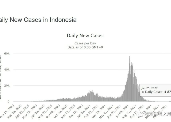 印度尼西亚疫情现状，挑战与应对策略