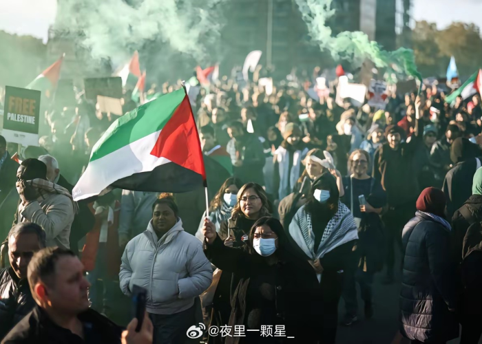 疫情下的巴勒斯坦，歧视与团结的交织