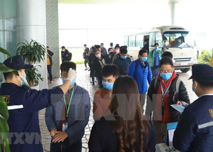 疫情下的越南口岸，挑战、应对与复苏之路