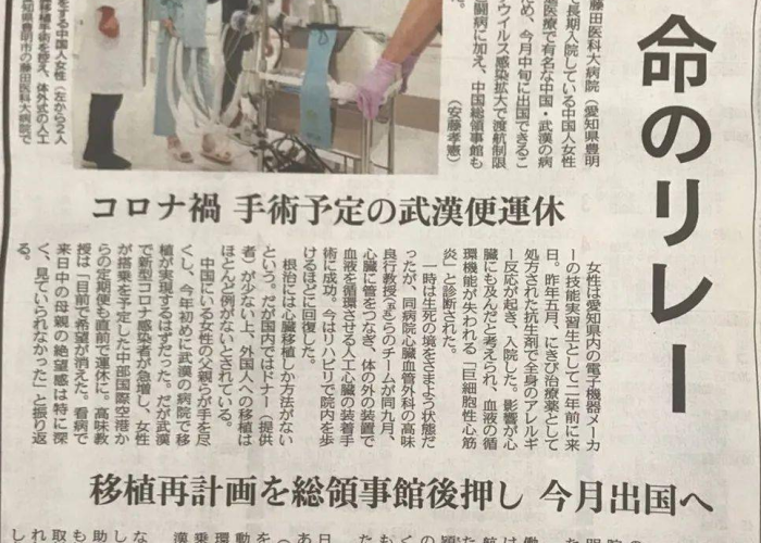 疫情下的温暖篇章，德国对中国的援助与跨国合作