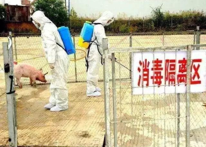 疫情下的罗马尼亚，挑战、应对与希望