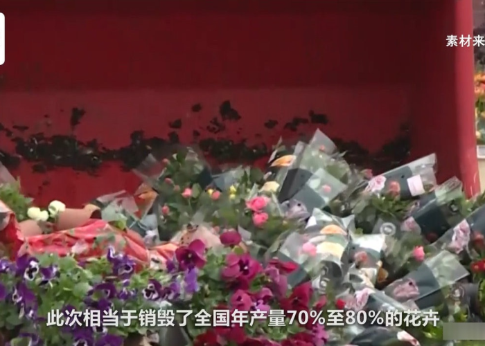疫情下荷兰鲜花产业，挑战与机遇并存