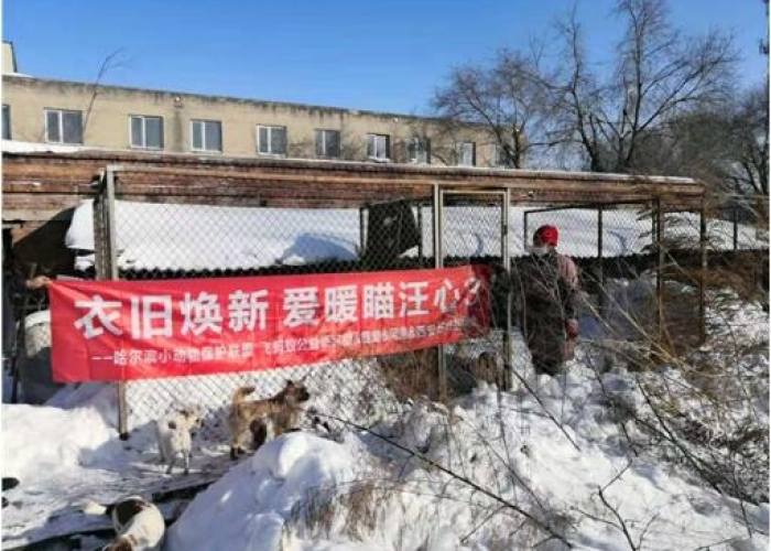 希腊援助中国，疫情下的团结感人故事