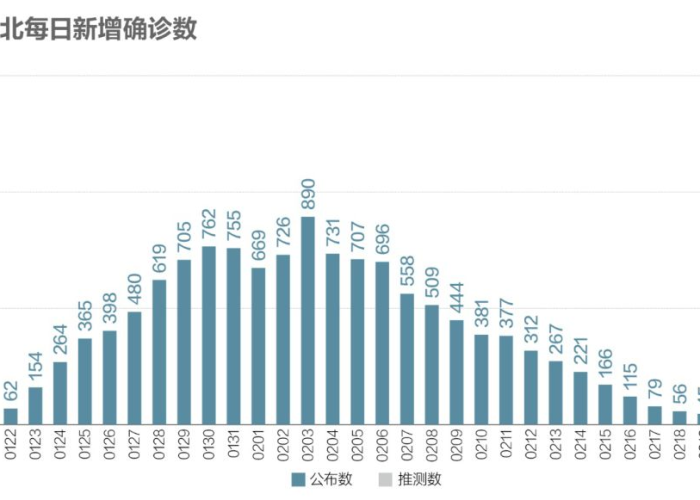 加蓬疫情挑战与应对策略
