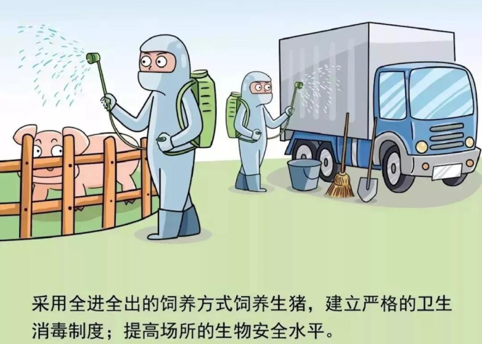 疫情期间，几内亚旅行建议及注意事项
