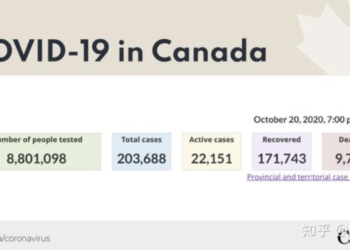 加拿大疫情告急，应对策略与挑战