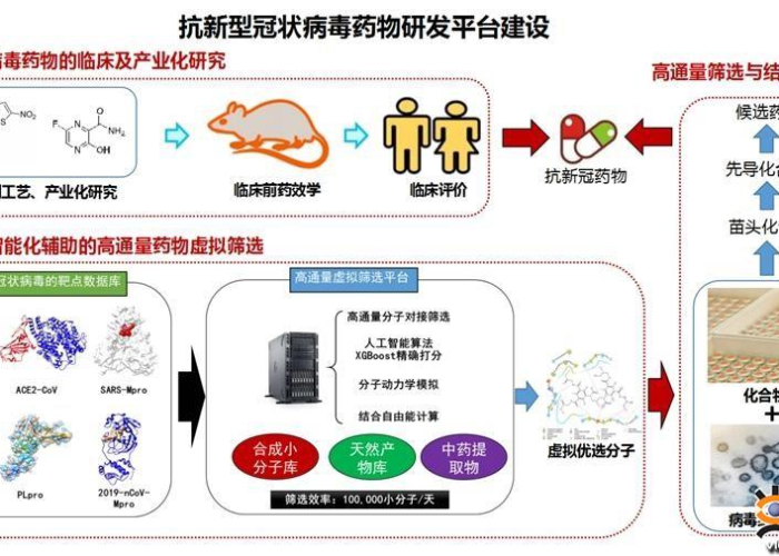 圣卢西亚疫情逐渐得到控制，政府全力应对，民众积极配合
