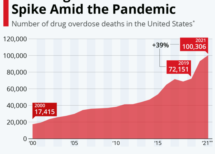 哥伦比亚疫情死亡人数，公共卫生危机下的深刻反思