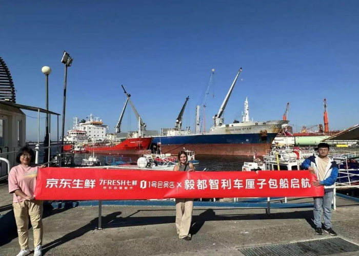 智利疫情，挑战与应对的艰难旅程