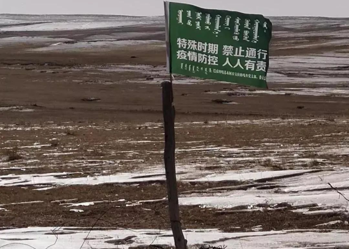 蒙古疫情应对，共筑健康防线，迎接挑战