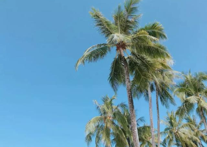亚洲疫情形势图，复杂多变中的挑战与希望