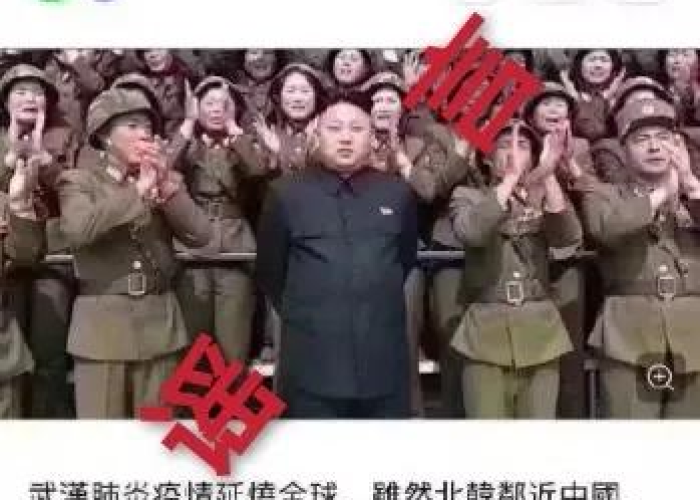 朝鲜疫情现状，挑战与应对策略
