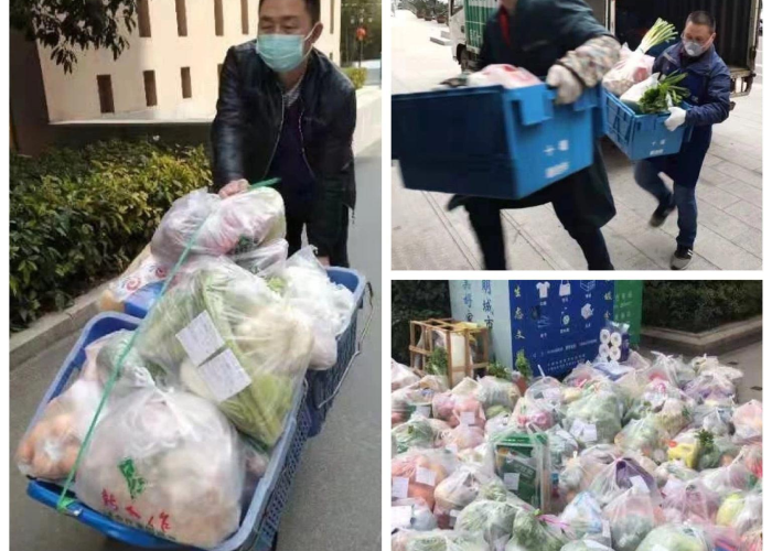 疫情下的美国物资困境与应对策略