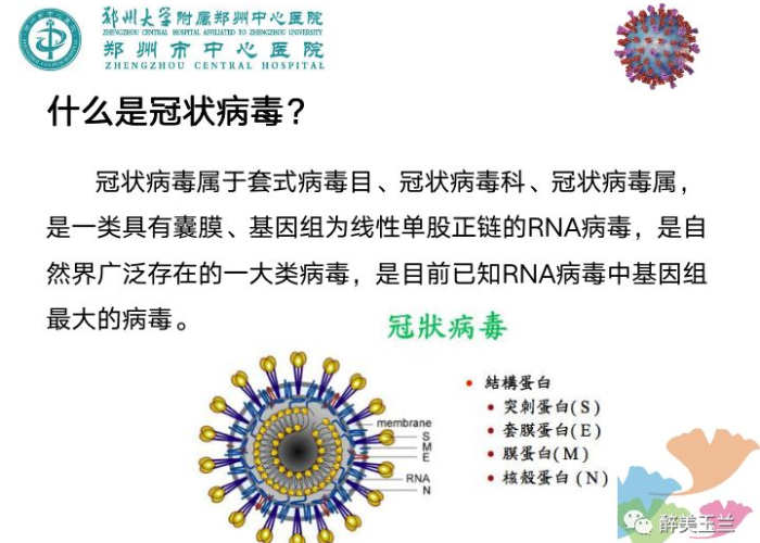 疫情病毒名称叫新型冠状病毒