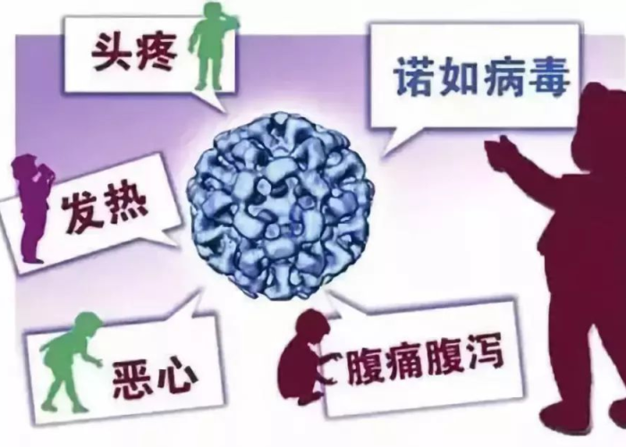 全国疫情流行病毒解析