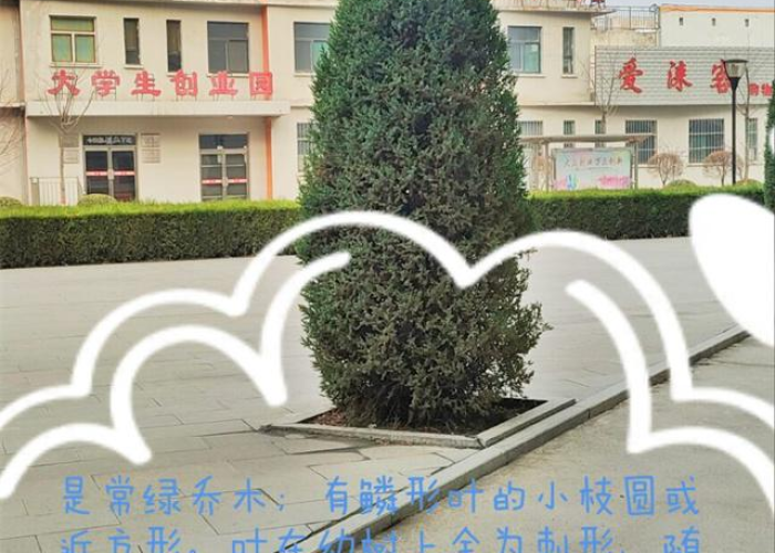 疫情三年指的是2019年至2022年，具体时间为，2019年12月30日-2022年12月31日。